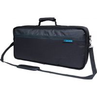 Carry Bag for GT-100
