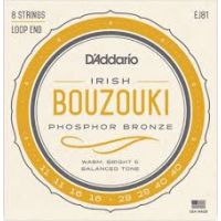 Irish Bouzouki EJ81